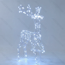 RENNA LUMINOSA A BASSO VOLTAGGIO, LUCE FREDDA, 1M, IP44 - foto 1