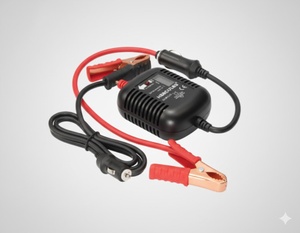 Materiale Elettrico / Alimentatori e Accessori / Pinza per carica Batteria