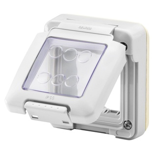 PLACCA GEWISS  STAGNA CON SPORTELLO SERIE SYSTEM IP55 2 POSTI