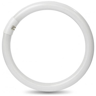 LAMPADA NEON CIRCOLINA 32W 4000K TRIFOSFORO T9