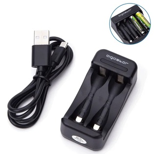 CARICABATTERIE 2 (AA/AAA)  1.2V  USB 1A