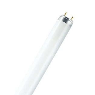 LAMPADA DULUX L 36W/830 2G11