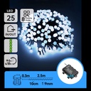 CATENA LUMINOSA A BATTERIA 3AA CON LUCI A PETARDO, LUCE FREDDA, 2.5M, IP44, INTERNO/ESTERNO