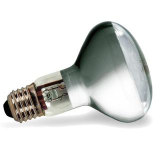 ECO-ALOGENA R80 53W E27 LIGHTX