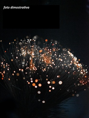 CIUFFI DI LUCE A FIBRE OTTICHE ROSSO LJ
