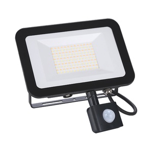 PROIETTTORE FARO LED M.C. ELETTRICI CON SENSORE DI PASSAGGIO  20W MODELLO ADRIATICO POSSIBILITA' DI SELEZIONARE LA TONALITA' DI LUCE E ANTI-BLACKOUT 1800Lm IP65